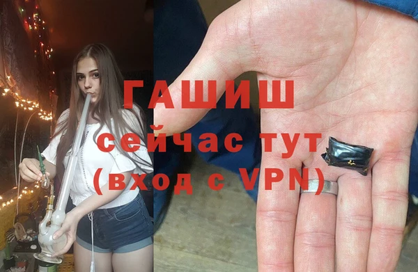 мдпв Богданович