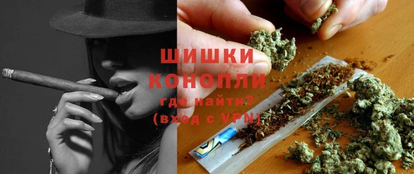 мдпв Богданович