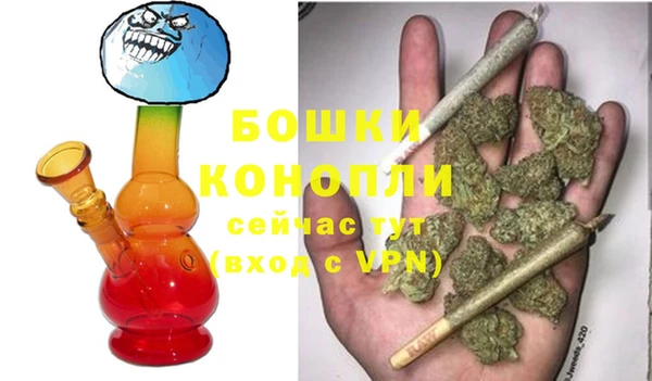 spice Богородск