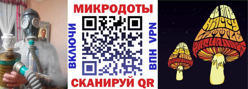 где купить наркоту  Медвежьегорск  MEGA рабочий сайт  Псилоцибиновые грибы мухоморы 
